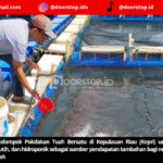 PT Timah Dorong Kemandirian Nelayan Kepri Lewat Budidaya Kakap Putih dan Hidroponik