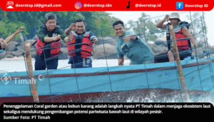 Tenggelamkan Ratusan Coral Garden, Komitmen PT Timah Jaga Ekosistem Laut dan Dukung Wisata Bahari