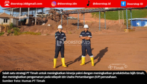 Upaya PT Timah Tingkatkan Kinerja dan Optimalkan Kontribusi untuk Negara