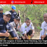 Tanam 2500 Bibit Mangrove di Karimun, Langkah PT Timah Lestarikan Lingkungan Berkelanjutan