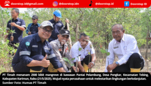 Tanam 2500 Bibit Mangrove di Karimun, Langkah PT Timah Lestarikan Lingkungan Berkelanjutan