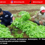 Inisiatif PT Timah di Sektor Pertanian, Dukung Program Ketahanan Pangan Nasional