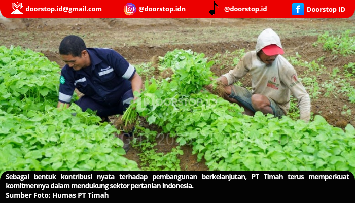 Inisiatif PT Timah di Sektor Pertanian, Dukung Program Ketahanan Pangan Nasional