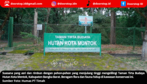 Hutan Kota Mentok, Komitmen PT Timah Jaga Flora Fauna Endemik dan Kawasan Konservasi