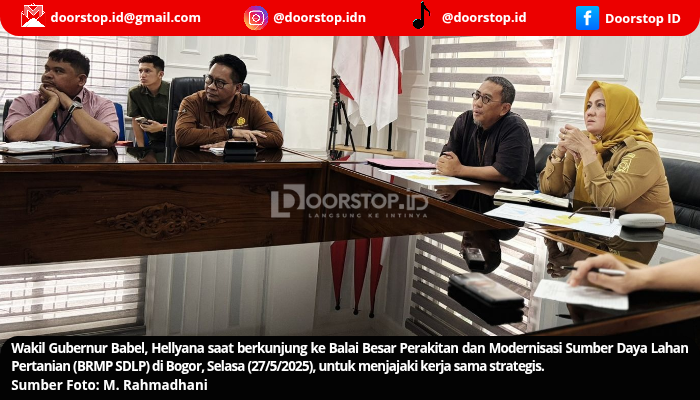 Gerak Cepat Hellyana Dorong Investasi Pertanian di Bangka Belitung