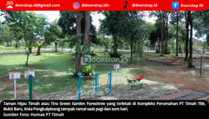 Tins Green Garden Foresttree: Ruang Terbuka Hijau Milik PT Timah, Dukung Gaya Hidup Sehat
