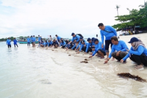 PT Timah Tbk Bersama AAI Sumbagsel Lepasliarkan Tukik Sisik di Pulau Kelayang