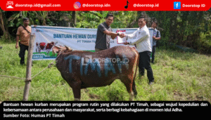 PT Timah Distribusikan Hewan Kurban ke Pulau dan Desa Terpencil