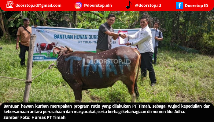 PT Timah Distribusikan Hewan Kurban ke Pulau dan Desa Terpencil