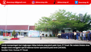 Peringati Hari Lingkungan Hidup Sedunia 2025, PT Timah Ajak Karyawan Ambil Peran Hentikan Polusi Plastik