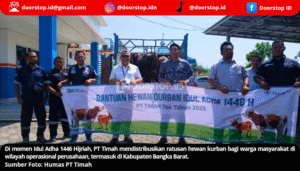 Iduladha Penuh Makna, PT Timah Bagikan Hewan Kurban bagi Warga Bangka Barat