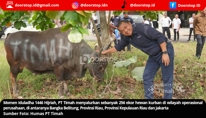 Iduladha: PT Timah Tebar 256 Ekor Hewan Kurban di Empat Provinsi