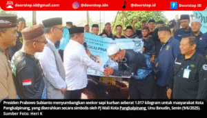 Presiden Prabowo Sumbang Sapi Kurban ke Pangkalpinang, Pj Wali Kota: Ini Amanah Presiden untuk Kita Semua