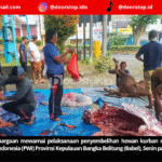 PWI Babel Laksanakan Penyembelihan Hewan Kurban, Ratusan Paket Daging Dibagikan ke Warga dan Wartawan