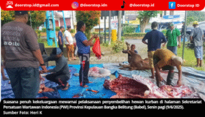 PWI Babel Laksanakan Penyembelihan Hewan Kurban, Ratusan Paket Daging Dibagikan ke Warga dan Wartawan