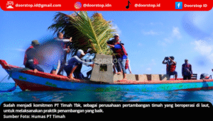 Dari Terumbu Buatan hingga Wisata Bahari, Komitmen PT Timah untuk Laut Berkelanjutan