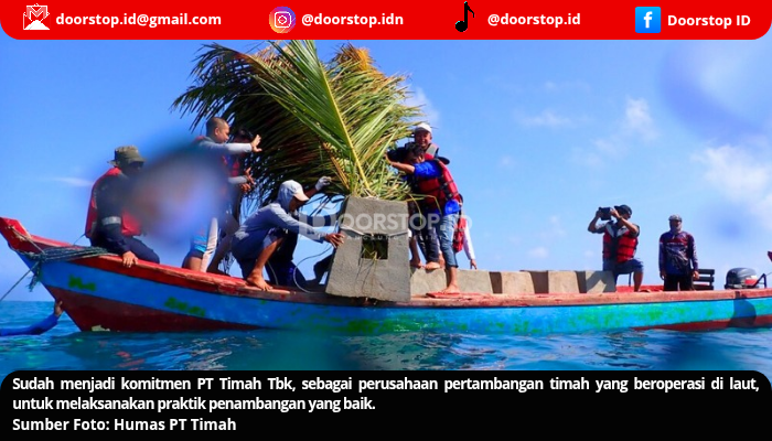 Dari Terumbu Buatan hingga Wisata Bahari, Komitmen PT Timah untuk Laut Berkelanjutan