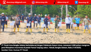 PT Timah Tanam 5.000 Pohon Mangrove di Pesisir Pantai Tanjung Labun Bangka Selatan