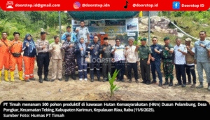 Tingkatkan Perekonomian dan Lestarikan Lingkungan, PT Timah Tanam 500 Pohon Produktif di Kabupaten Karimun