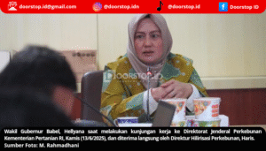 Wagub Babel Hellyana, Desak Perhatian Khusus Sektor Perkebunan ke Kementan RI