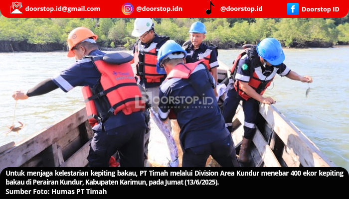 PT Timah Kembali Restocking Ratusan Kepiting Bakau di Perairan Kundur