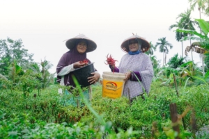 PT Timah Dukung Kemandirian Ekonomi Masyarakat Lewat Pemberdayaan Potensi Lokal
