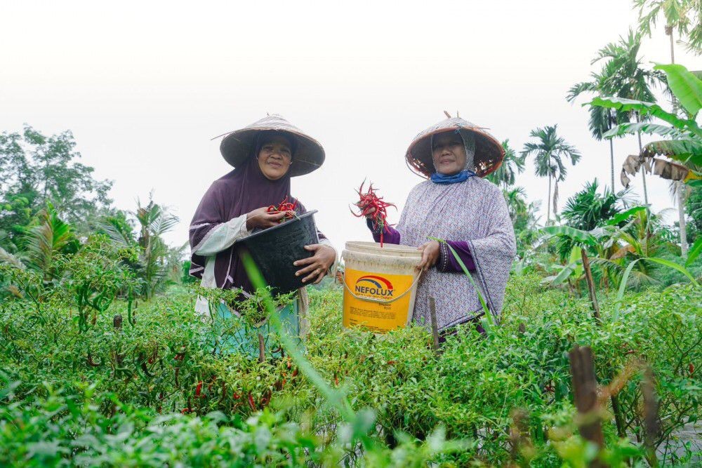 PT Timah Dukung Kemandirian Ekonomi Masyarakat Lewat Pemberdayaan Potensi Lokal