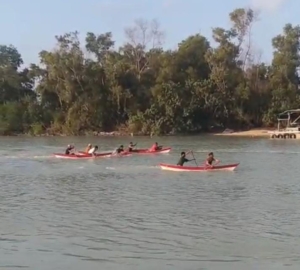 PT Timah Dukung Lomba Dayung dan Penanaman Mangrove bersama HNSI Bangka