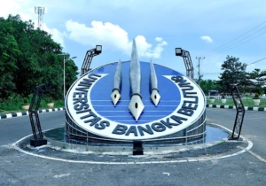 UBB Buka Jalur Mandiri, Yuk Cek Prodi Tersedia dan Persyaratannya