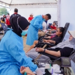 HUT ke-49, PT Timah dan PMI Bangka Tiga Kali Gelar Donor Darah, Ratusan Kantong Terkumpul