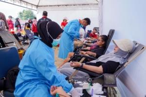 HUT ke-49, PT Timah dan PMI Bangka Tiga Kali Gelar Donor Darah, Ratusan Kantong Terkumpul