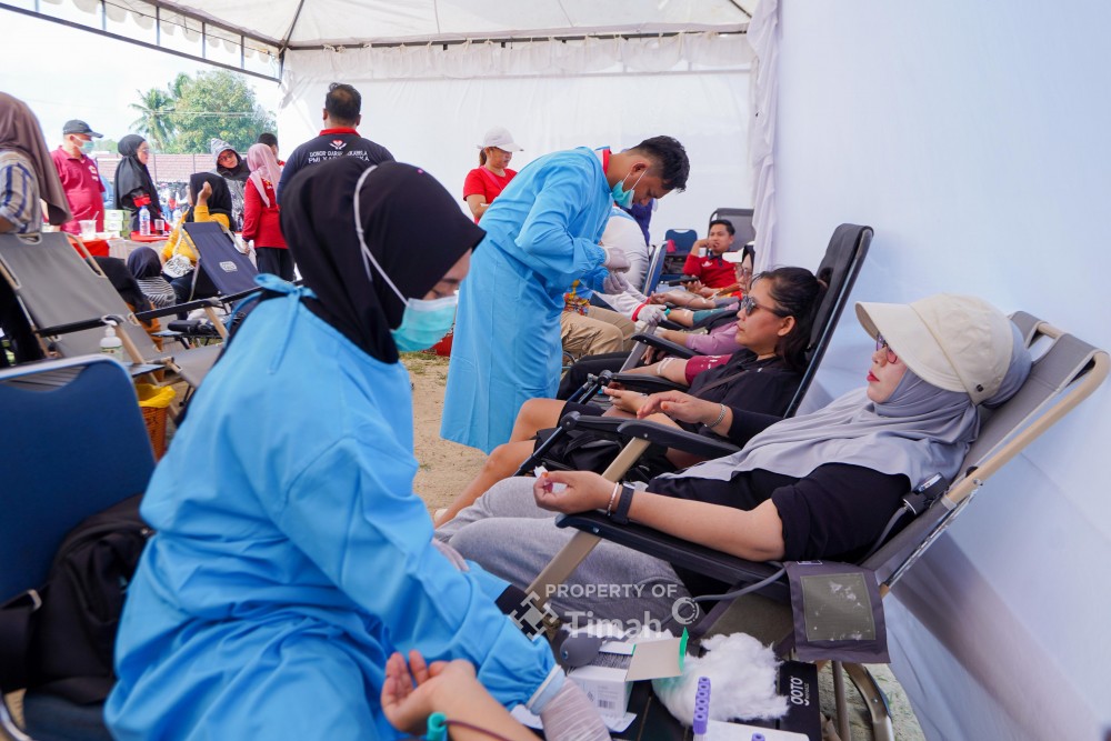 HUT ke-49, PT Timah dan PMI Bangka Tiga Kali Gelar Donor Darah, Ratusan Kantong Terkumpul