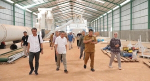 Hidayat Arsani Dorong Industri Plywood Rp500 Miliar di Beltim, Ajak Warga Tanam Sengon