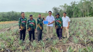 Perkuat Ekonomi Masyarakat, PT Timah Bantu Petani Kundur Lewat Bibit Tanaman