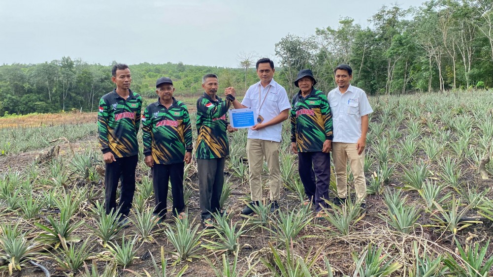 Perkuat Ekonomi Masyarakat, PT Timah Bantu Petani Kundur Lewat Bibit Tanaman