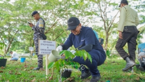 PT Timah Tbk Laksanakan Program Seribu Pohon untuk Negeri, Mitigasi Perubahan Iklim dan Dukung Ekonomi Masyarakat