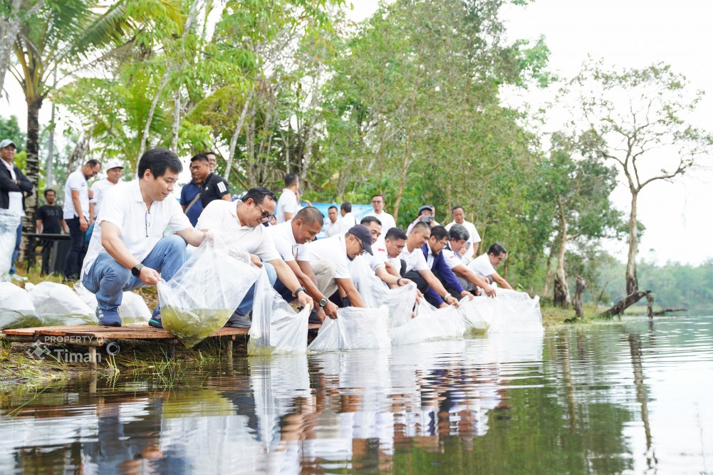 PT TIMAH Tbk Tebar 15 Ribu Bibit Ikan di Kolong Bekas Tambang