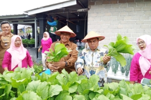 BI Babel dan Pemkot Pangkalpinang Panen Hidroganik Padi-Lele, Dorong Ketahanan Pangan dan Pemberdayaan Perempuan
