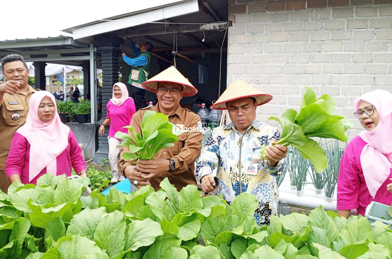 BI Babel dan Pemkot Pangkalpinang Panen Hidroganik Padi-Lele, Dorong Ketahanan Pangan dan Pemberdayaan Perempuan