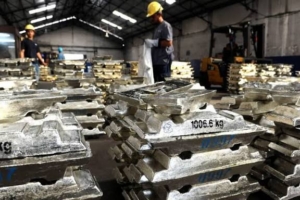 TINS Resmi Kembali Jadi ’Persero’, Danantara Tegaskan Negara Tetap Pegang Kendali