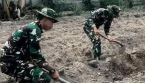 Satgas TMMD ke-127 Kodim 0432/Basel Tanam Jagung dan Kacang Tanah Bersama Warga Desa Penutuk