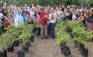 Program Gencar Panen 50 Kilogram Cabai, Solusi Cerdas Tekan Pengeluaran Dapur Warga