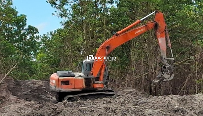 Polda Babel Tertibkan Dua Tambang Timah Ilegal di Hutan Produksi Belinyu