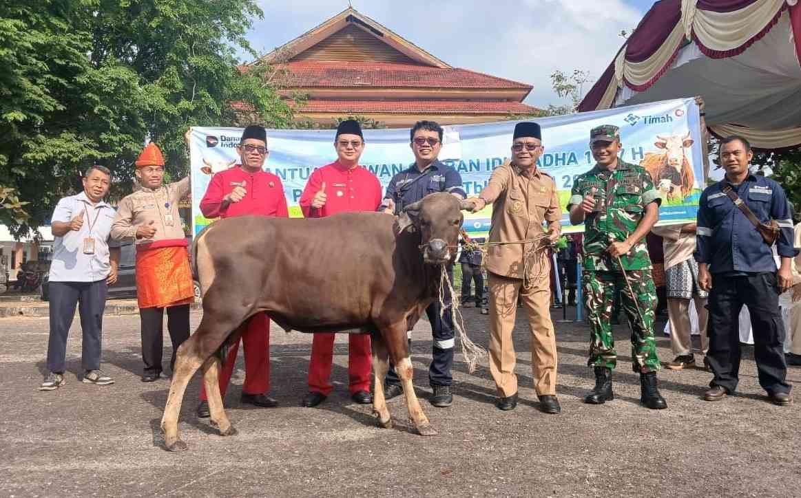 Di Momen Iduladha dan HUT ke-23 Kabupaten Bangka Barat, PT TIMAH Berbagi Kebahagiaan Lewat Hewan Kurban