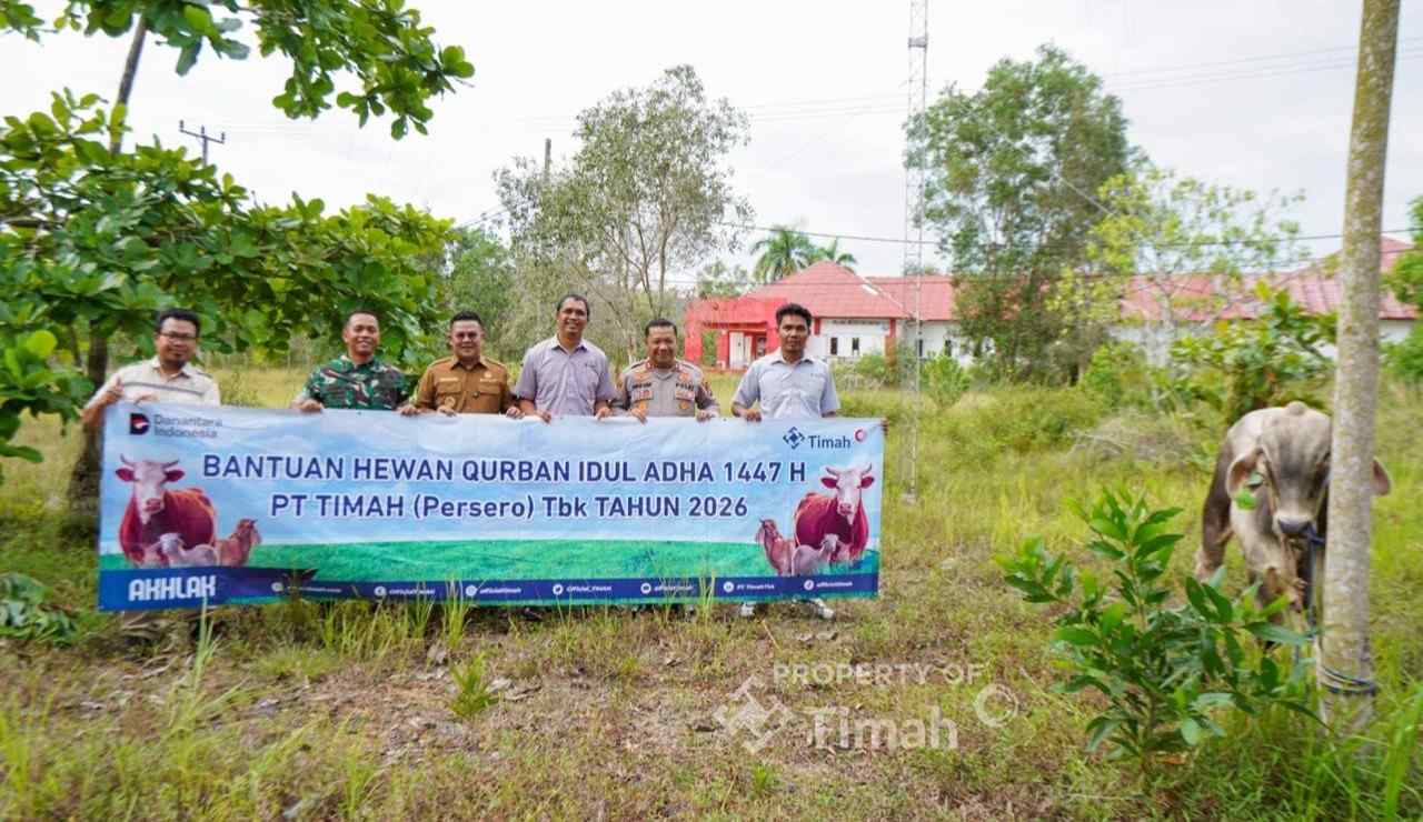 PT TIMAH Salurkan 31 Hewan Kurban bagi Warga Bangka Selatan