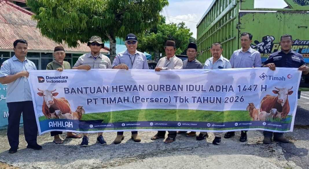 PT TIMAH Salurkan 39 Sapi Kurban di Bangka Barat, Disambut Antusias Warga