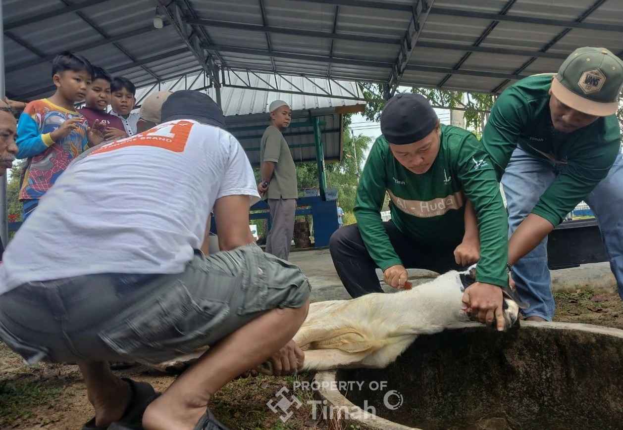 Karyawan PT TIMAH Gotong Royong Salurkan Daging Kurban untuk Masyarakat Bangka Barat