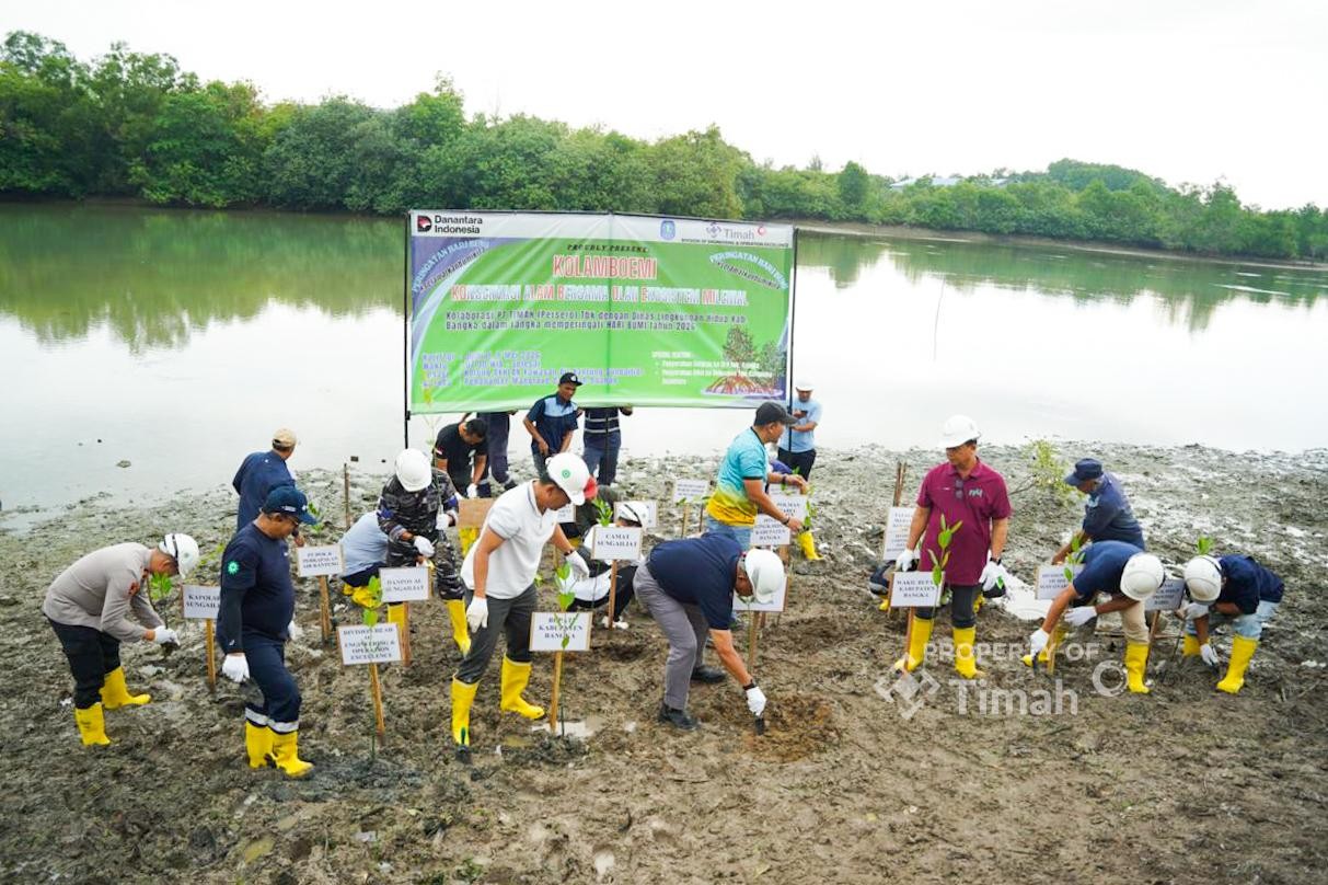 Kolaborasi PT TIMAH, Pemkab Bangka dan Warga Ubah Kolong AKHLAK Jadi Kawasan Produktif