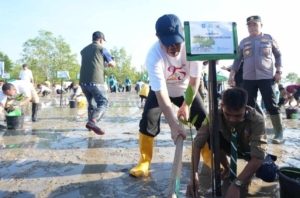 Peringati HKG PKK ke-54 dan Hari Lingkungan Hidup Sedunia, Pemprov Babel Gelar Aksi Tanam Mangrove