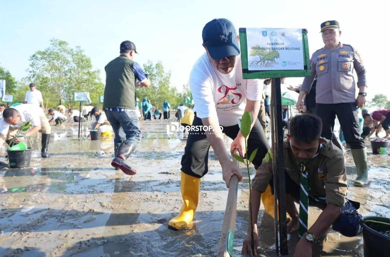 Peringati HKG PKK ke-54 dan Hari Lingkungan Hidup Sedunia, Pemprov Babel Gelar Aksi Tanam Mangrove